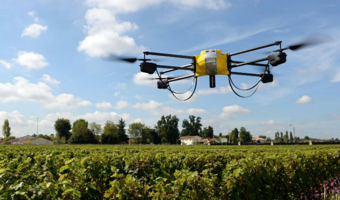 drone in vineyard